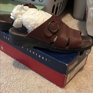 Dexter Chestnut Slide Sandals with Buckle